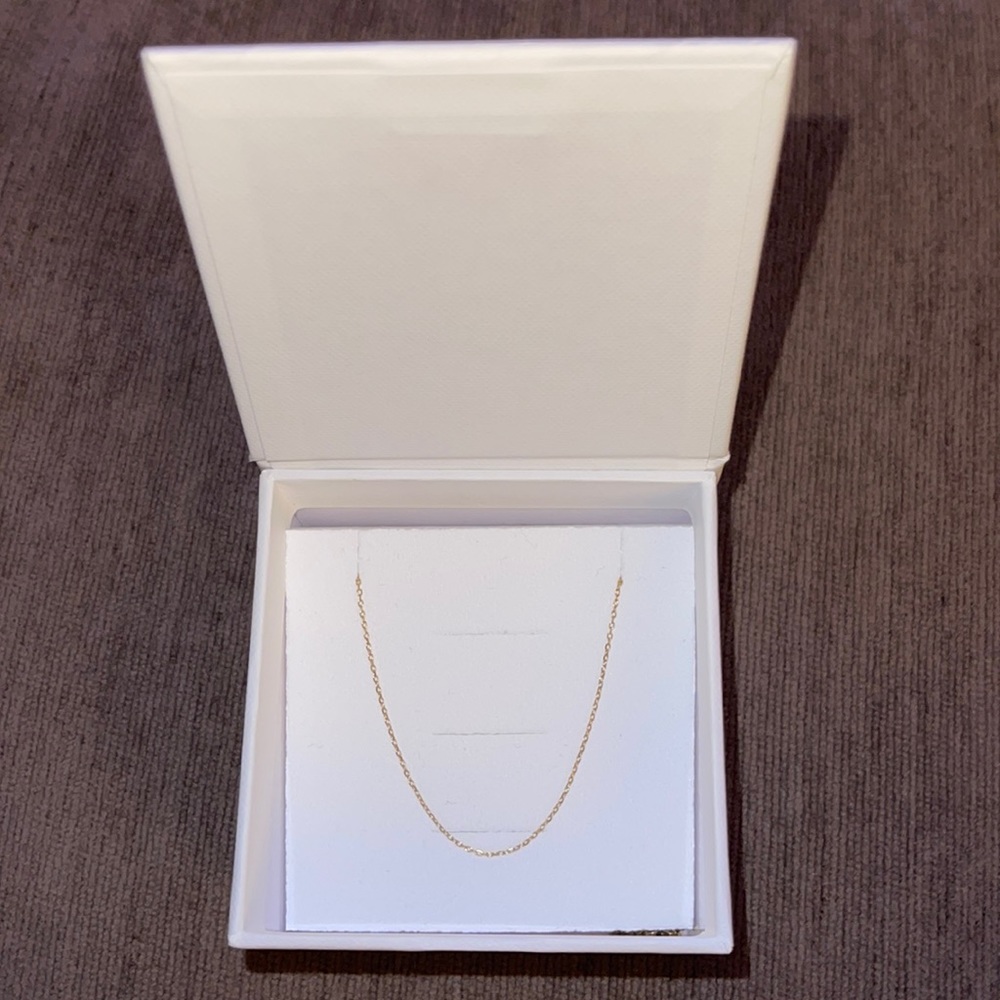 Mejuri Chain Necklace (Brand New)